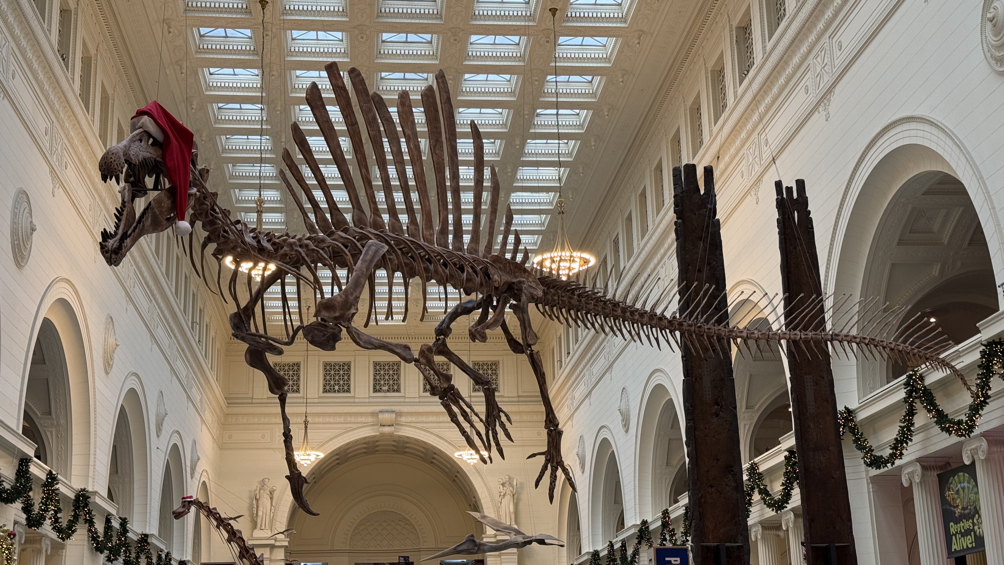 Field Museum